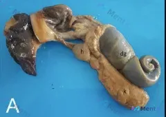 Post 3468 image 1