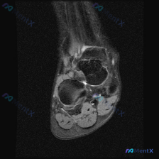 Post 18832 image 1