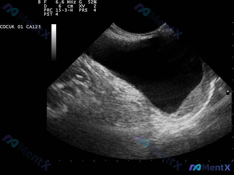 Post 2777 image 1
