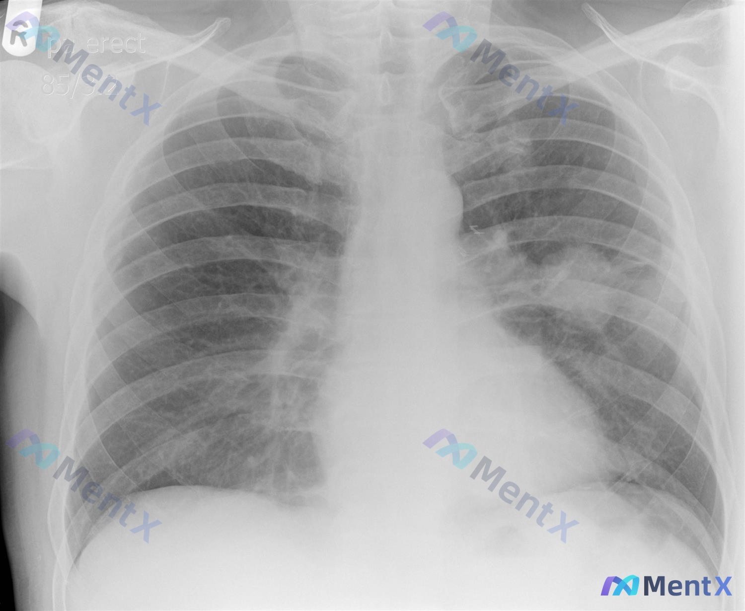 Post 2738 image 1