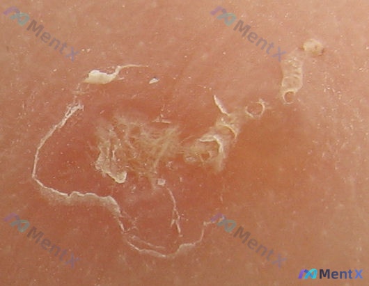 Post 1621 image 1