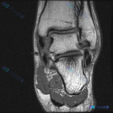 Post 40875 image 1