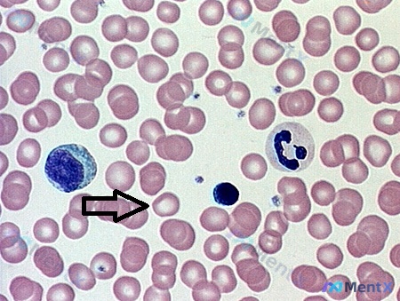 Post Image 5