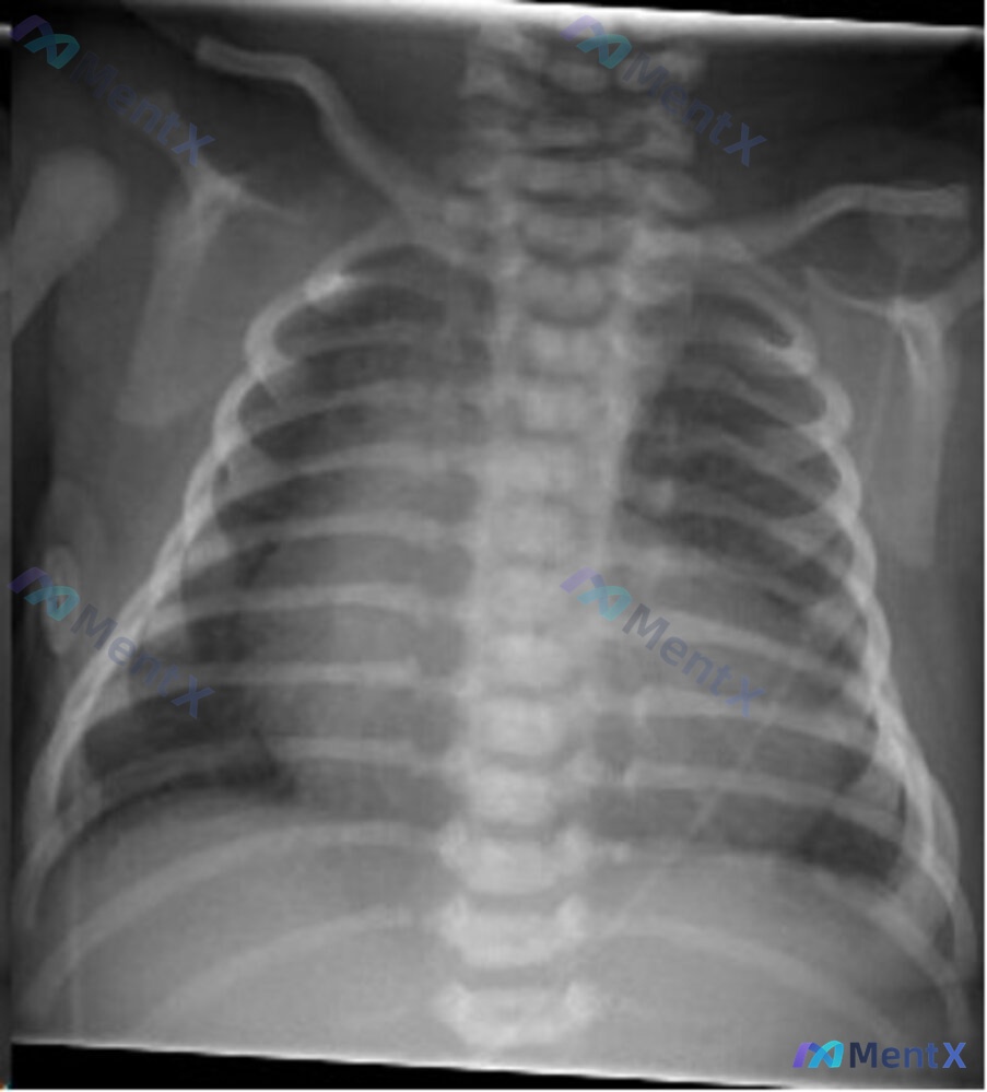 Post 583 image 1