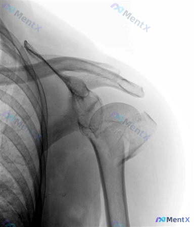 Post 2354 image 4