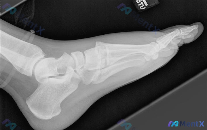 Post 267 image 3