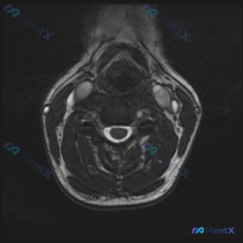 Post 24239 image 1