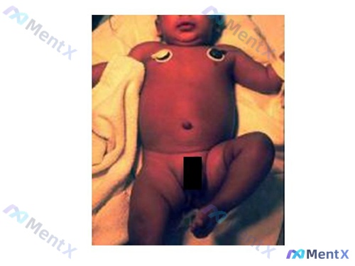 Post 245 image 1