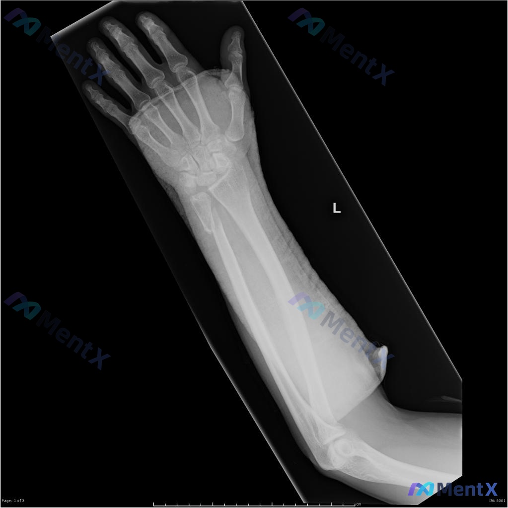 Post 2059 image 1