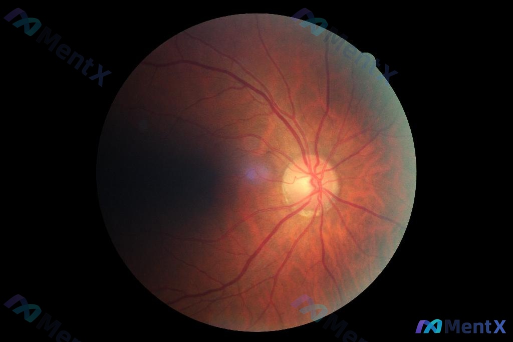 Post 2082 image 1