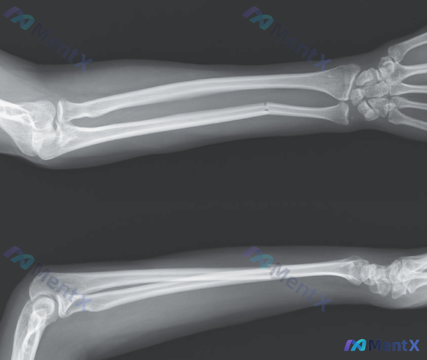 Post 916 image 1