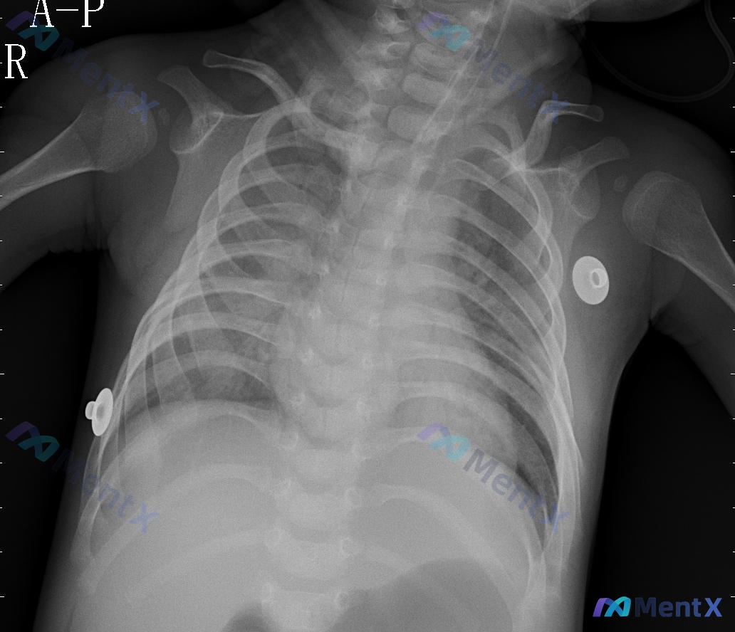 Post 2902 image 1