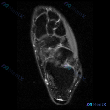 Post 25979 image 1