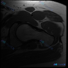 Post 28260 image 1