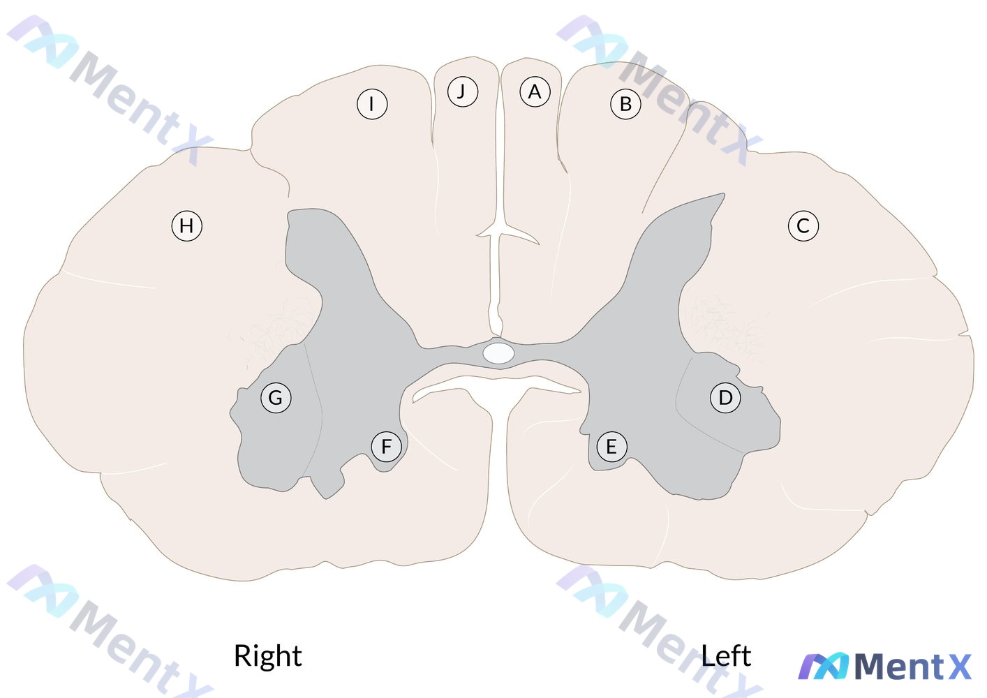 Post 2916 image 1