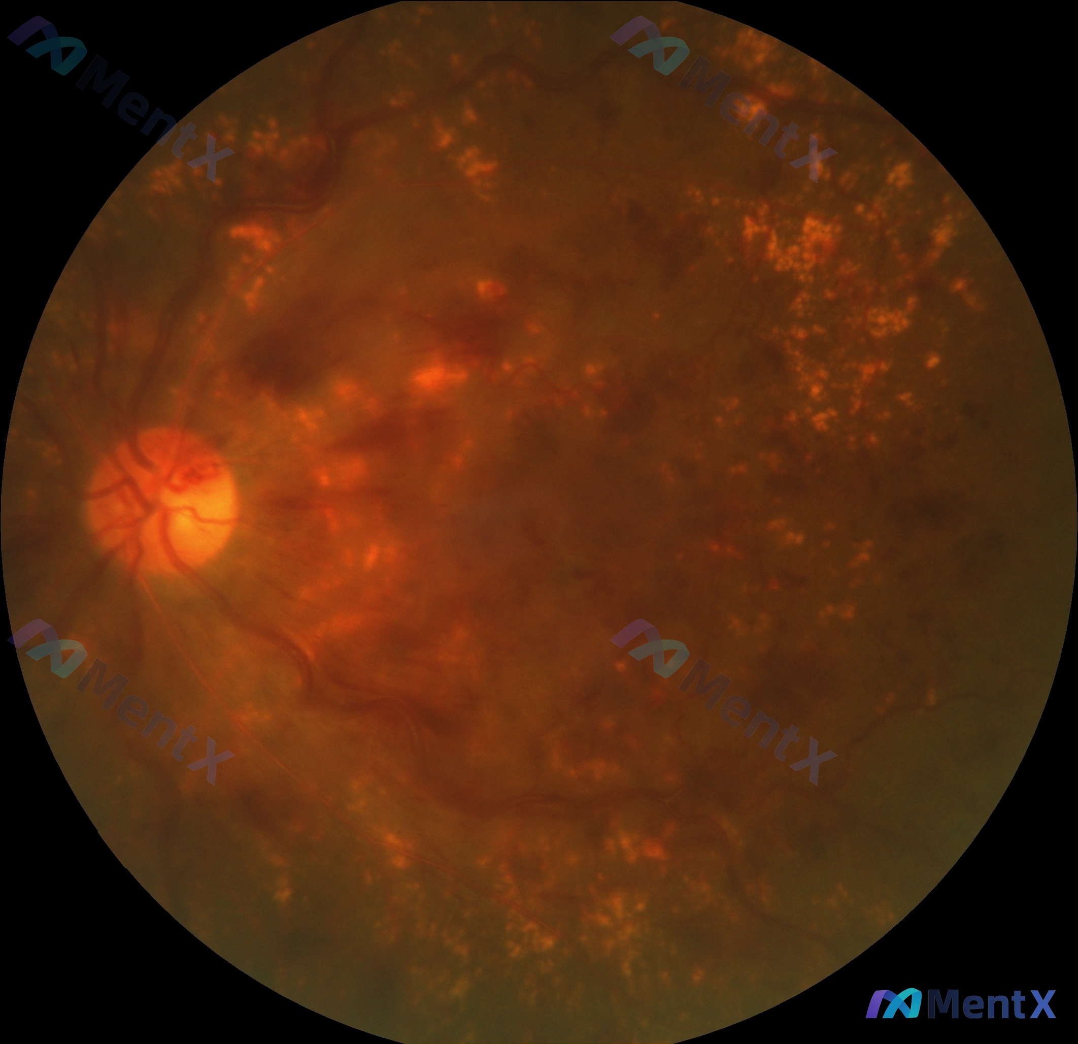 Post 5730 image 1