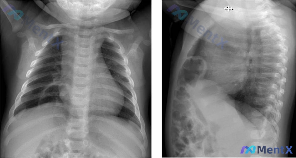 Post 2255 image 1