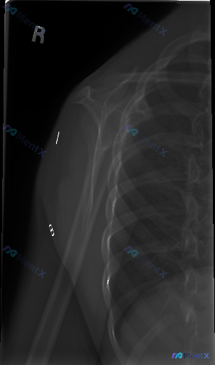 Post 4718 image 1