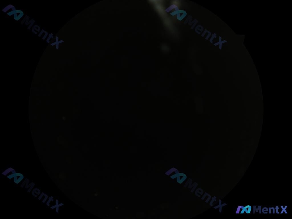 Post 2053 image 1