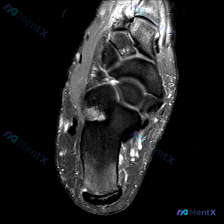Post 21699 image 1