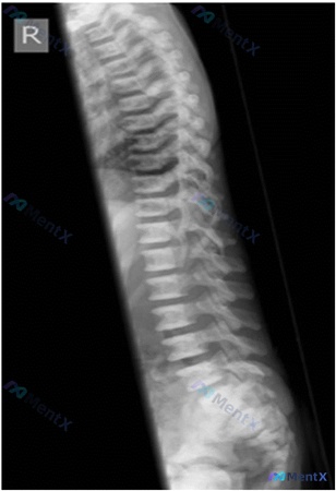 Post 578 image 2