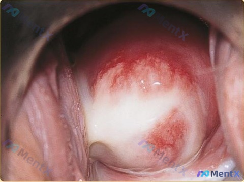 Post 2395 image 1