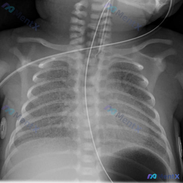 Post 2932 image 1