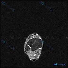 Post 19869 image 1