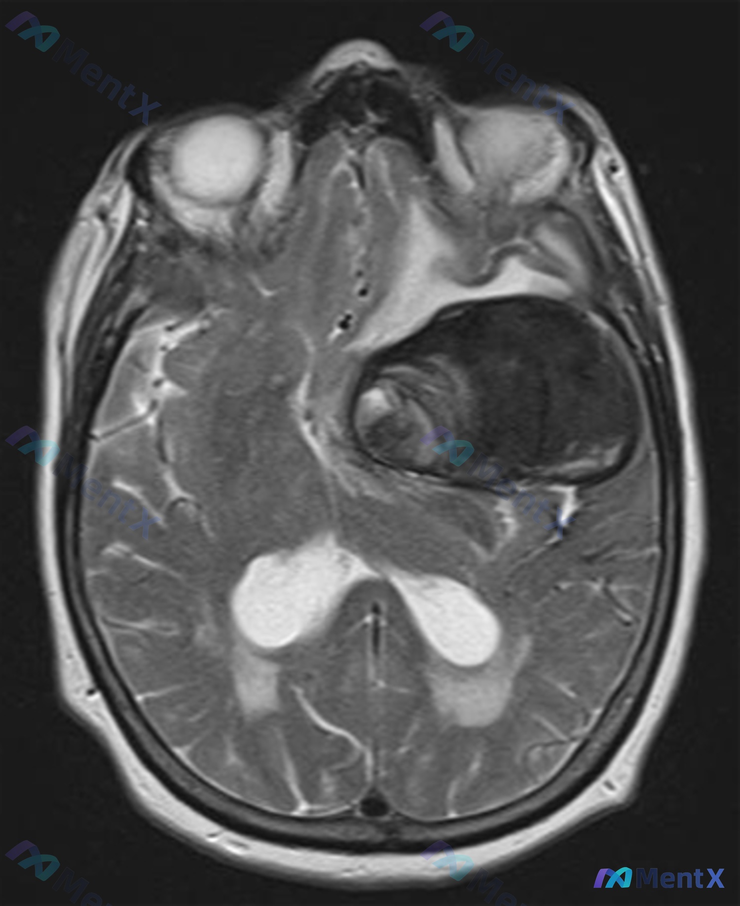 Post 2946 image 1