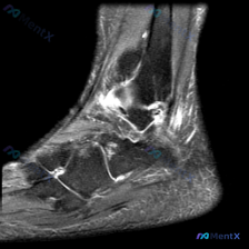 Post 27101 image 1