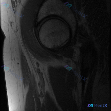 Post 18367 image 1