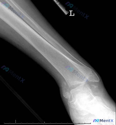 Post 1130 image 1