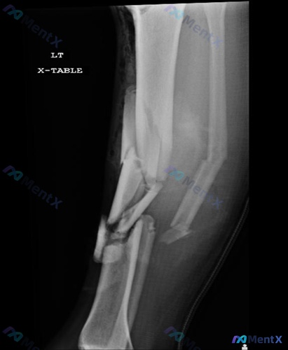 Post 1071 image 2