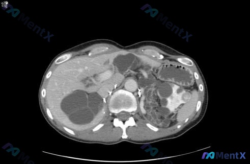 Post 2162 image 1