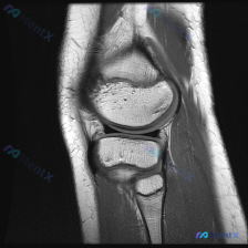 Post 43260 image 1