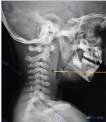 Post 1133 image 1