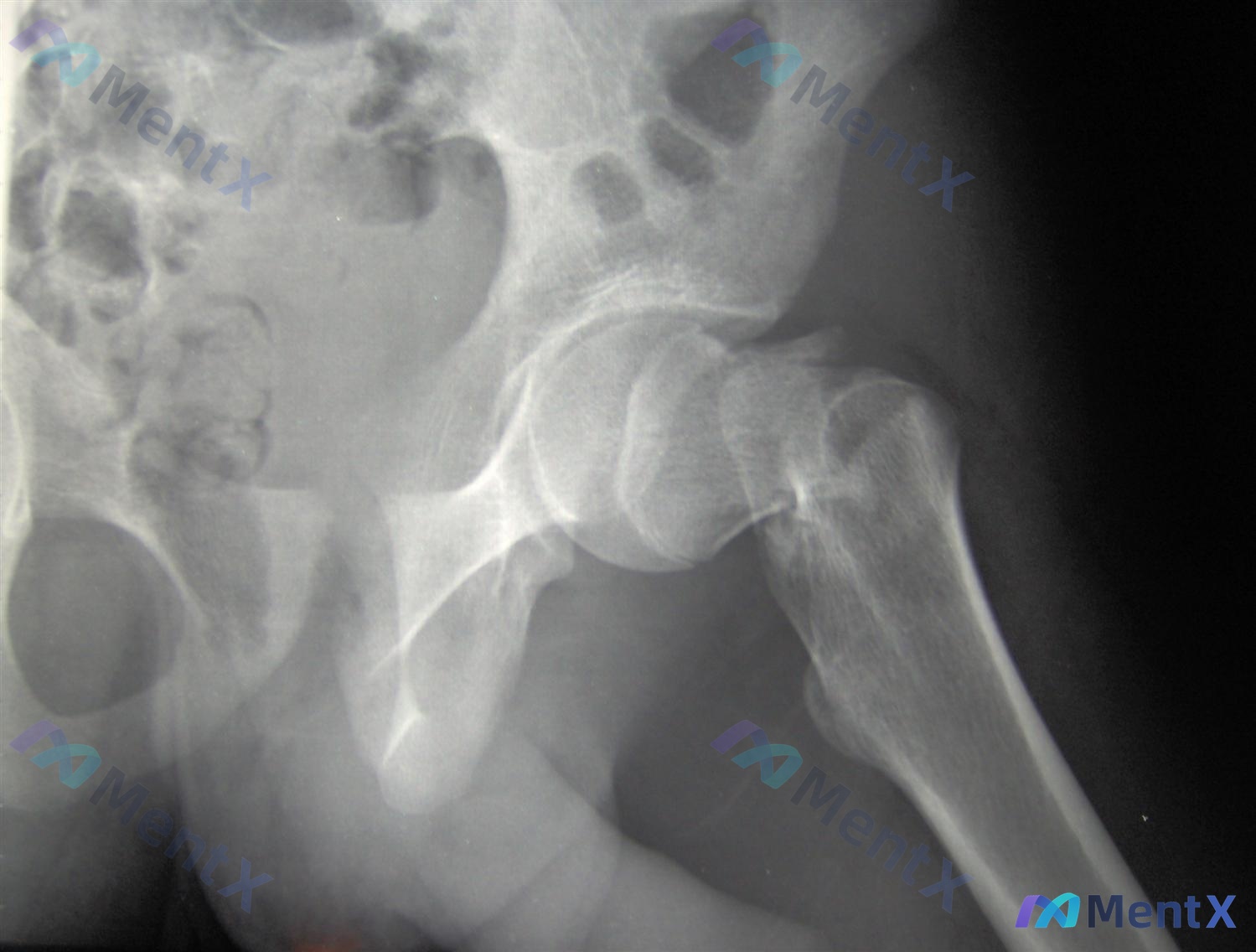 Post 788 image 1