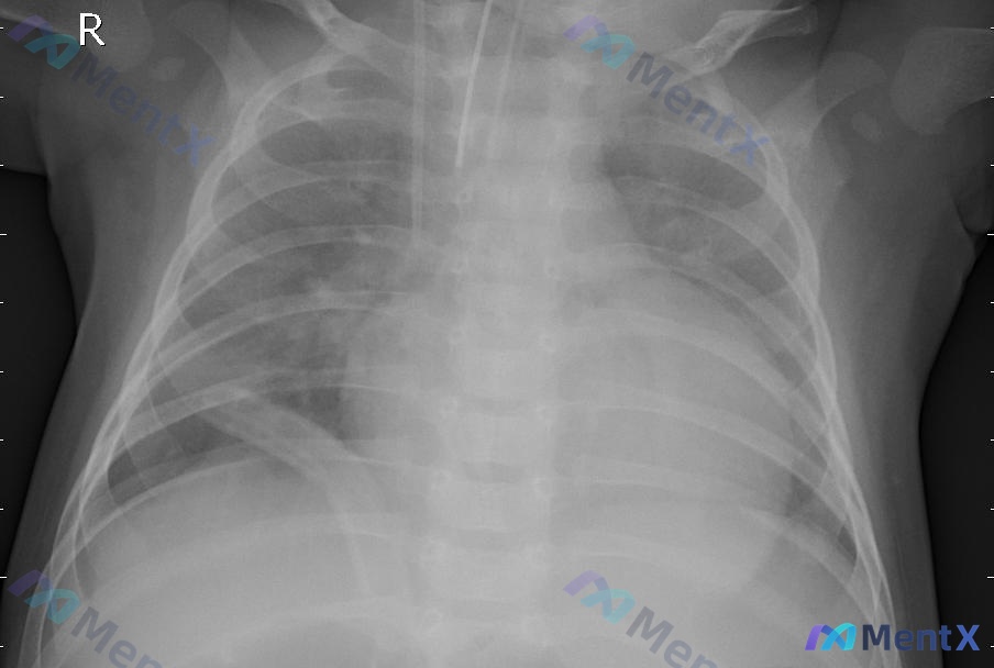 Post 2071 image 1