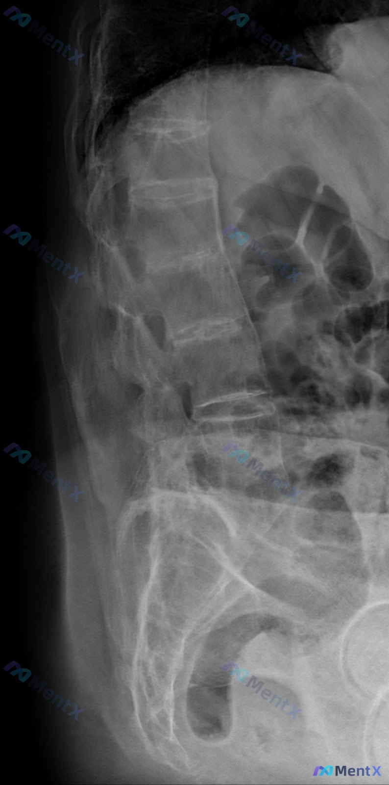 Post 789 image 1