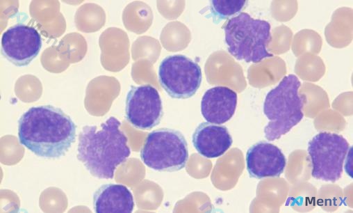 Post 2787 image 1
