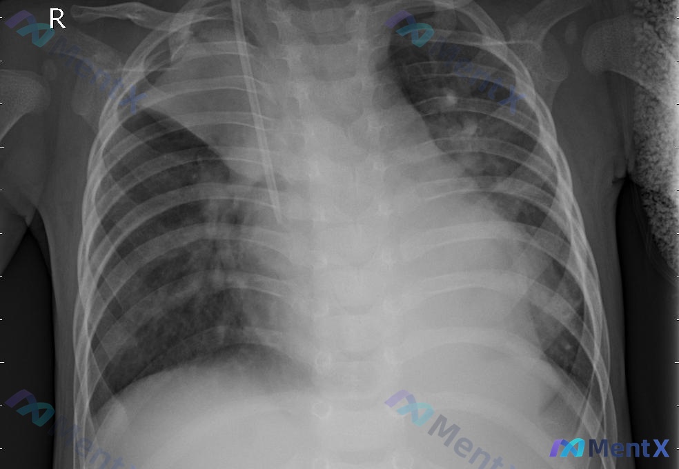 Post 264 image 1