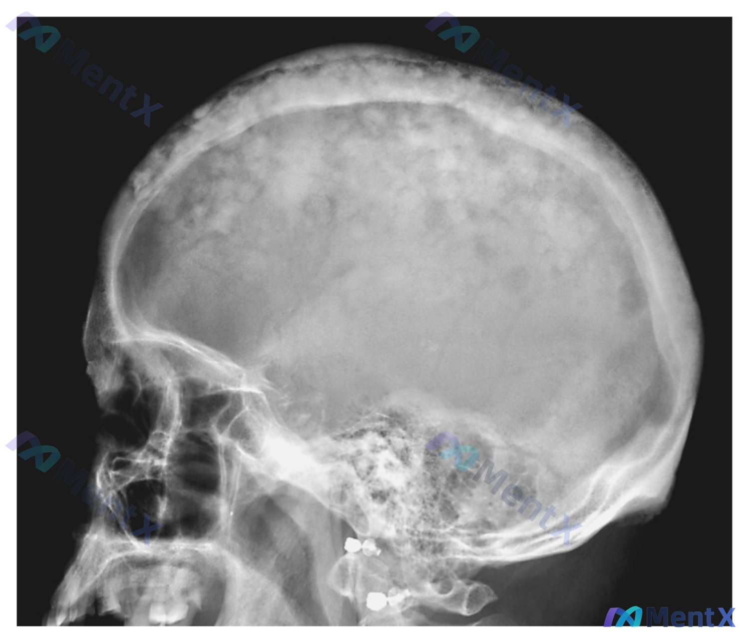 Post 29 image 1