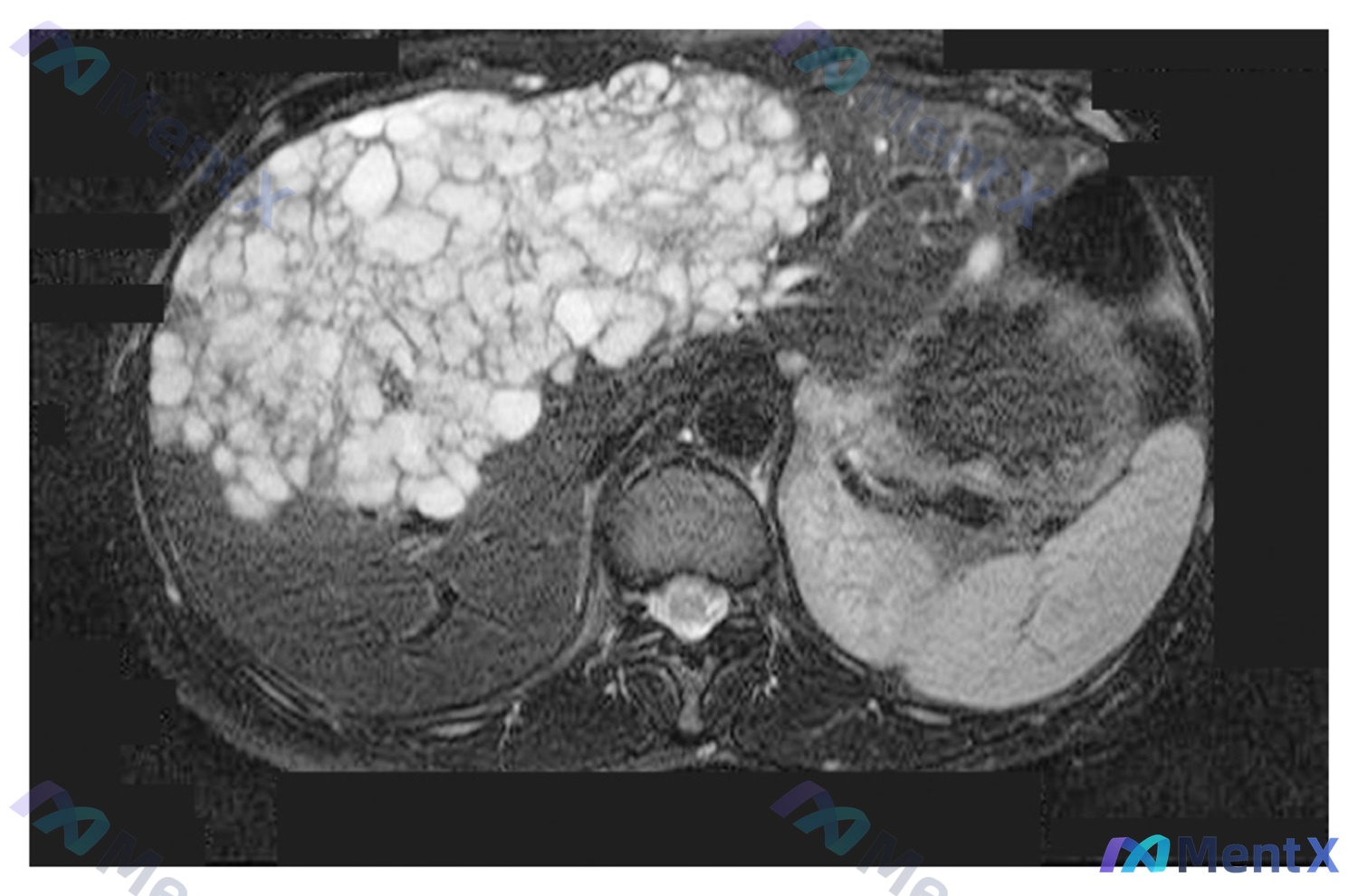 Post 290 image 1