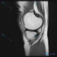 Post 20449 image 1
