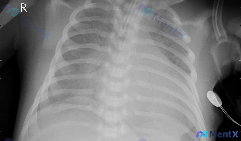 Post 733 image 1