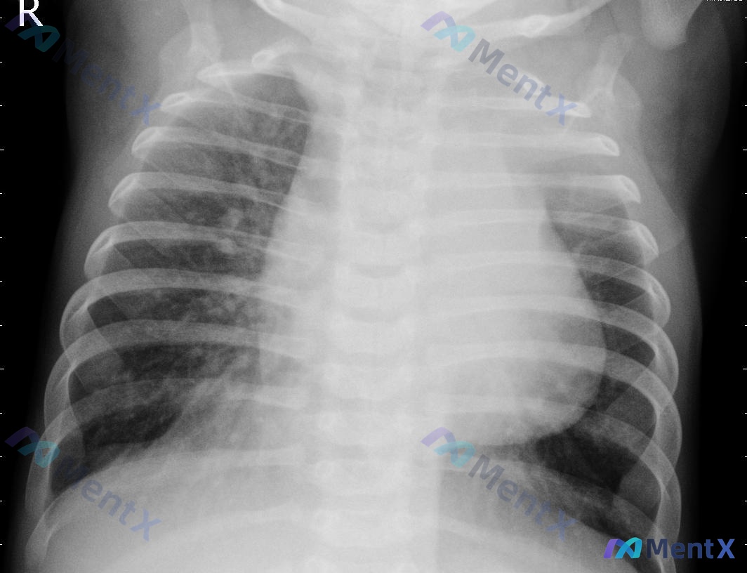 Post 1167 image 1