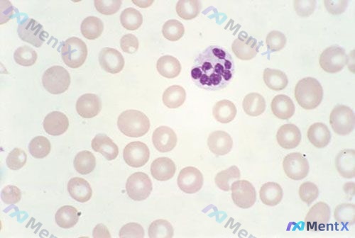 Post 2143 image 1
