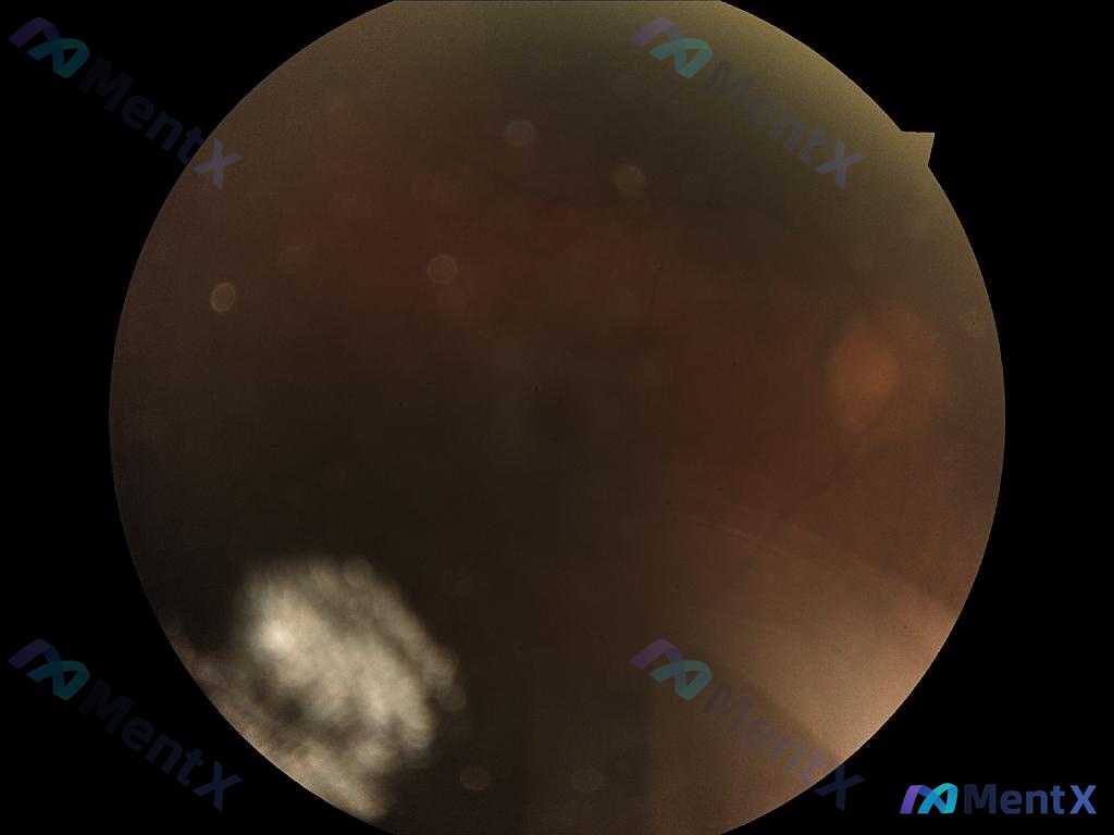 Post 2544 image 1