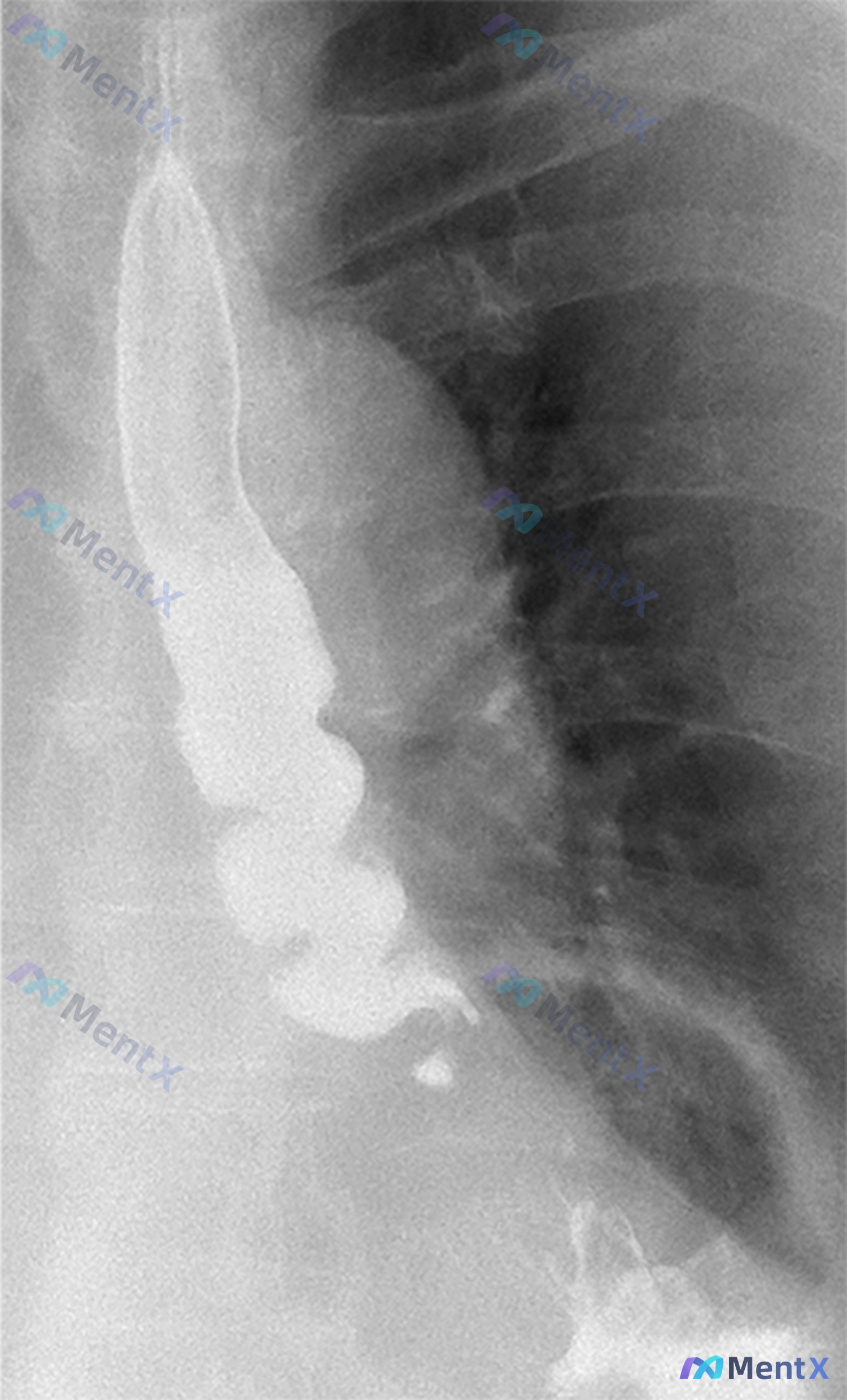 Post 1757 image 1