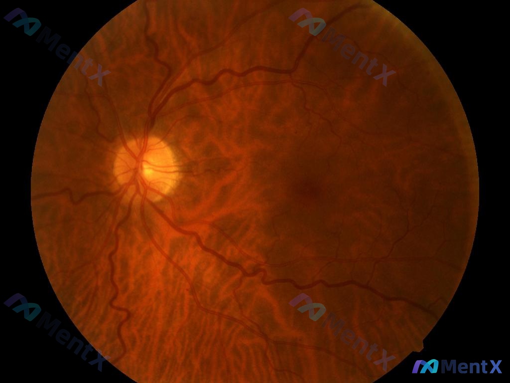 Post 2084 image 1